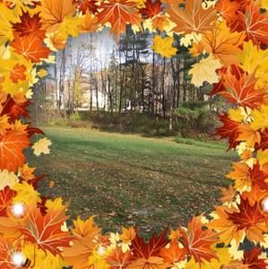 Meet your Posher, Joann